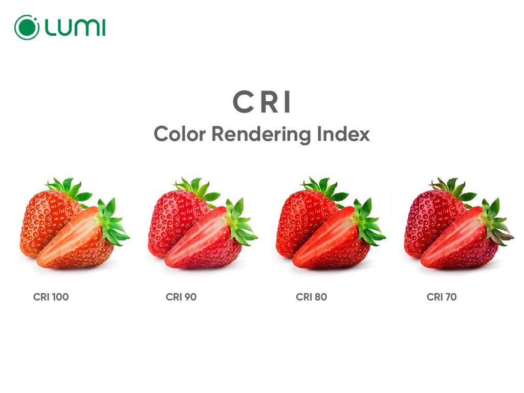 anh-web-c-Ha-06-1024x768