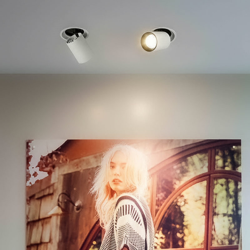 den-spotlight-am-tran-xoay-goc-10W