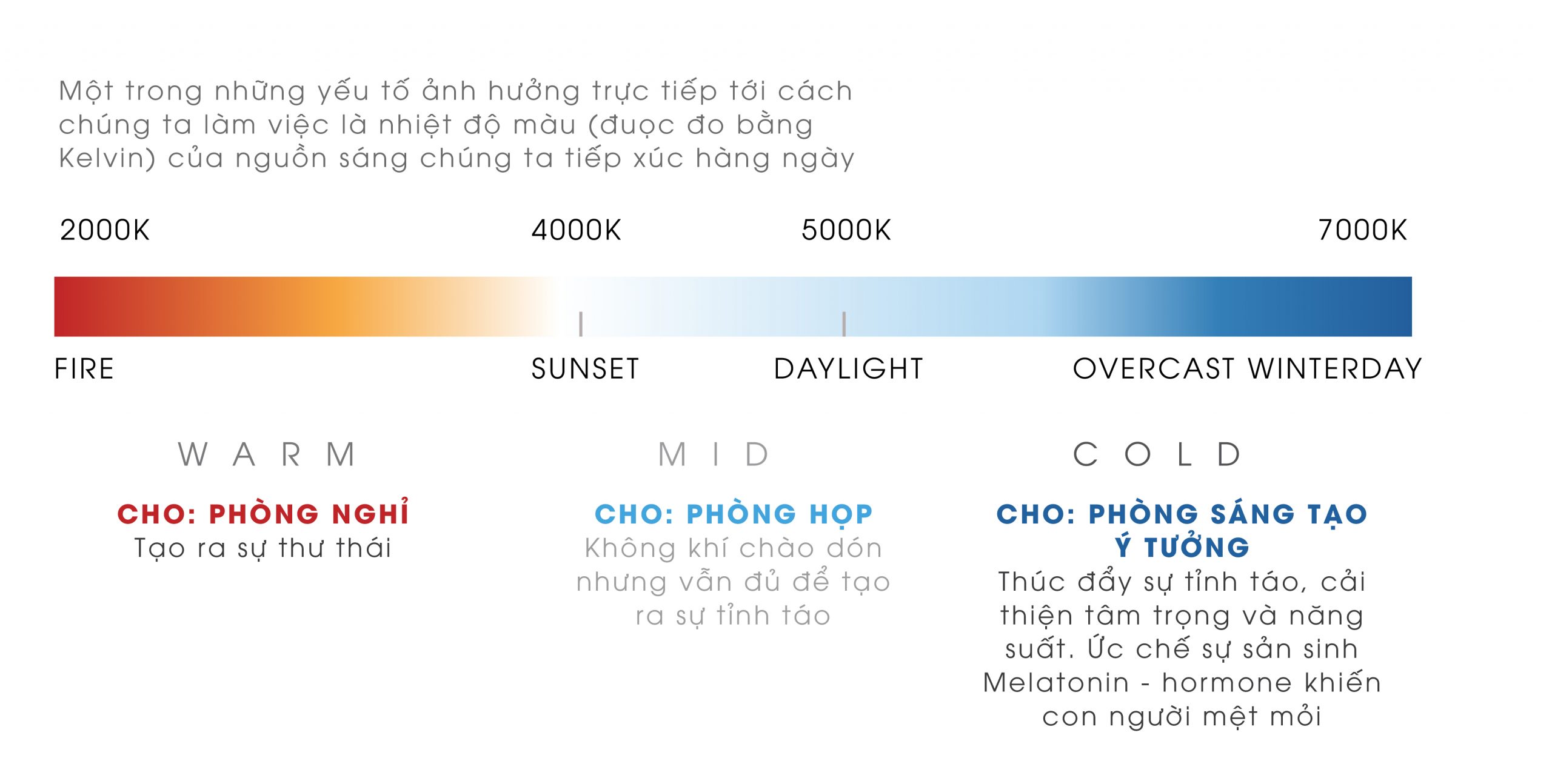 how-lighting-affect-productivity-03-scaled