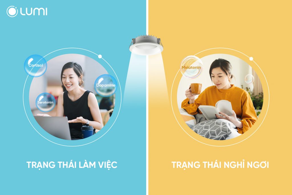 Các trạng thái khác nhau phù hợp với loại ánh sáng khác nhau