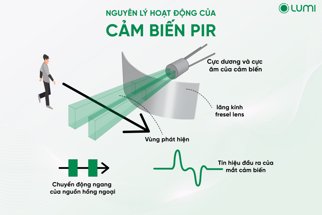 Nguyên lý hoạt động của cảm biến PIR