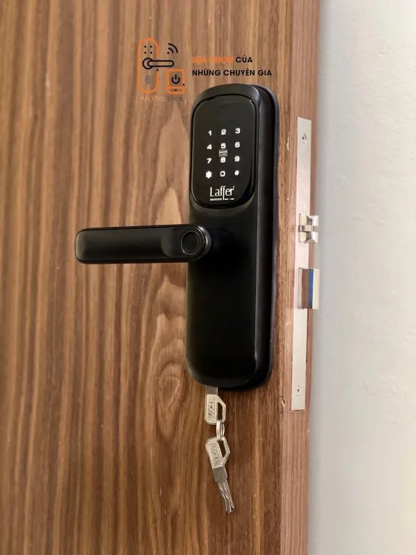 Laffer LX02 dành cho cửa gỗ - Ảnh 4